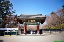 2022년 04월 03일(일).경주 토함산 산행 안내 - 일요 / 산행 신청방 - 안양산죽산악회 (안양산죽회) 2022년 04월 03일(일).경주 토함산 산행 안내