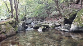 2023년 6월10(토) 경기도둘레길 13구간(17코스) 산행안내 - 경기 / 둘레길 신청방 - 안양산죽산악회 (안양산죽회) 2023년 6월10(토)... 