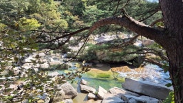 충북 괴산 화양구곡 - ♬꽃님의 여행기 ♬ - 호반농원 충북 괴산 화양구곡