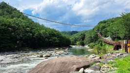 제 764회 거창 현성산 산행 & 무병장수 둘레길 트레킹(25. 7. 9)... 계룡수요산악회 제 764회 거창 현성산 산행 & 무병장수 둘레길 트레킹(25. 7. 9)