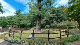 제 764회 거창 현성산 산행 & 무병장수 둘레길 트레킹(25. 7. 9)... 계룡수요산악회 제 764회 거창 현성산 산행 & 무병장수 둘레길 트레킹(25. 7. 9)