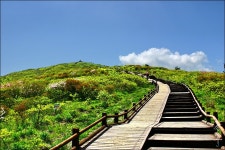제 767회 지리산 노고단~뱀사골 여름산행(25. 8. 13) - 산행계획 및 예약신청 - 계룡수요산악회 제 767회 지리산 노고단~뱀사골 여름산행(25.... 