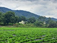 치악산둘레길 11코스중 3코스 수레너머길 - 2024년산행사진 - 전 주 다 정 산 악 회 치악산둘레길 11코스중 3코스 수레너머길