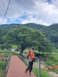 치악산둘레길 11코스중 3코스 수레너머길 - 2024년산행사진 - 전 주 다 정 산 악 회 치악산둘레길 11코스중 3코스 수레너머길