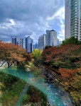 춘천 대천호수 계곡 - ☆ 장산 사진방 ☆ - hotel25 춘천 대천호수 계곡