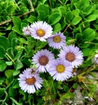 춘천 대천호수 계곡 - ☆ 장산 사진방 ☆ - hotel25 춘천 대천호수 계곡