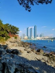 해운대 동백섬 22.12.6 - ☆ 풍경사진 ☆ - hotel25 해운대 동백섬 22.12.6