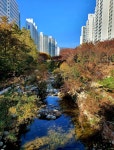 대천호수 춘천 - ☆ 장산 사진방 ☆ - hotel25 대천호수 춘천