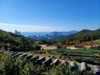 정상을 품다 22.11.1 - ☆ 장산 사진방 ☆ - hotel25 정상을 품다 22.11.1