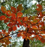 춘천 대천호수 계곡 - ☆ 장산 사진방 ☆ - hotel25 춘천 대천호수 계곡