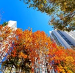 대천호수 춘천 - ☆ 장산 사진방 ☆ - hotel25 대천호수 춘천