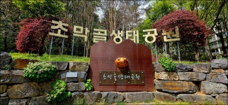 초막골 생태공원 (26.4.19) 2 - ―······개인ノ적인◈사진 - 안태봉의 카페 안태봉의 카페
