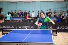 2026년 시장기탁구대회사진4 - 2026년 시흥시장기 - 시흥시 탁구협회 2026년 시장기탁구대회사진4