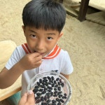 5월이야기💙 - 사랑반 - 광주씨튼어린이집 5월이야기💙