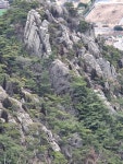 홍성 용봉산 바위경치 (2025. 12. 23.) - 아름다운 우리나라 - 익산 탑마루 산악회 홍성 용봉산 바위경치 (2025. 12. 23.)