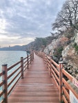 목포 고하도둘레길 (2025. 12. 16.) - 아름다운 우리나라 - 익산 탑마루 산악회 목포 고하도둘레길 (2025. 12. 16.)