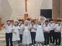 6월22일 초교 영성체 - 본당 행사 및 사진 - 인천 은행동성당 6월22일 초교 영성체