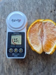 제주 하우스한라봉 - 농 수 산 물 직 거 래 - 귀농 귀촌에 꿈은 흑염소와 함께 제주 하우스한라봉