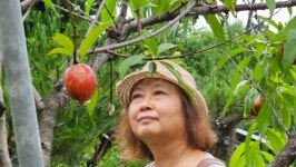 동심으로 돌아간 아띠 연주자들 - 이야기가 있는 곳 - 산모퉁이_부엉이도서관 동심으로 돌아간 아띠 연주자들