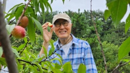동심으로 돌아간 아띠 연주자들 - 이야기가 있는 곳 - 산모퉁이_부엉이도서관 동심으로 돌아간 아띠 연주자들