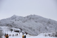 제283차 덕유산 명산산행 [1월25일 06시 화서역출발] - 2월22일 강원 원주 치악산[일요일 06시 화서역] - 수원영통산악회 수원영통산악회