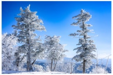 제283차 덕유산 명산산행 [1월25일 06시 화서역출발] - 2월22일 강원 원주 치악산[일요일 06시 화서역] - 수원영통산악회 수원영통산악회