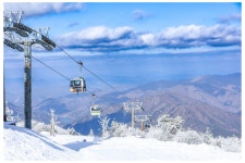 제283차 덕유산 명산산행 [1월25일 06시 화서역출발] - 2월22일 강원 원주 치악산[일요일 06시 화서역] - 수원영통산악회 수원영통산악회