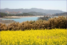 부안,수성당, - [ 특 별 작 품 ] 사진 - 수원영통산악회 부안,수성당,