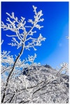제284차 치악산 명산산행 [2월22일 06시 화서역출발] - 5월31일 홍천 공작산&수타사 산소길 [06:00시출발] - 수원영통산악회 수원영통산악회