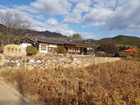 감 따다 곶감 만들기 - 망와고택 이야기 - 망와고택 감 따다 곶감 만들기