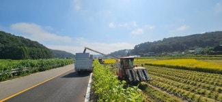 벼 곡물탱크 이야기 - ☆ 친구네농장 이야기 ☆ - 백학쌀닷컴 백학참쌀 벼 곡물탱크 이야기