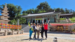 숲속 도마치 계곡 - 일반 게시판 - 송도정다운산악회 숲속 도마치 계곡