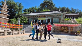 숲속 도마치 계곡 - 일반 게시판 - 송도정다운산악회 숲속 도마치 계곡