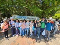 +동문 힐링 걷기 동참.. - 춘석이 일기장 - 횡천초등학교42회동창회 수국의 계절, 울 부산 수국친구들도 하나 둘 고개를... +동문 힐링 걷기 동참..