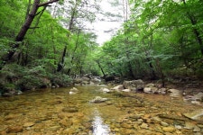 제346차 정기산행(2022. 8. 21 / 괴산 칠보산) 예약 받습니다. - ── 정기산행안내&예약 - 부천 늘푸른산악회 제346차 정기산행(2022. 8. 21... 