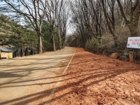 20 / 대전 계족산) 황토길 함께해요~ - ── 정기산행안내&예약... 제349차 정기산행(2022. 11. 20 / 대전 계족산) 황토길 함께해요~