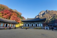 백양사 가을빛 - 실을의 자연과 사람들 겔러리 방 - 부천 늘푸른산악회 백양사 가을빛