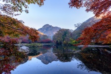 백양사 가을빛 - 실을의 자연과 사람들 겔러리 방 - 부천 늘푸른산악회 백양사 가을빛