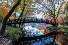 백양사 가을빛 - 실을의 자연과 사람들 겔러리 방 - 부천 늘푸른산악회 백양사 가을빛