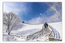양떼목장의 겨울 - 실을의 자연과 사람들 겔러리 방 - 부천 늘푸른산악회 양떼목장의 겨울