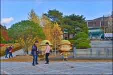 속리산 미동산 식물원! 22 10.29. - ◎…폰카샷 생방 - 사랑스런 너 속리산 미동산 식물원! 22 10.29.