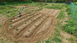 고랑정리, 고랑제초에는 맨티스관리기로 - 맨티스 판매자의 사용기록 - 미니관리기 고랑정리, 고랑제초에는 맨티스관리기로