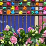 2026.2월 두번째주일 성전꽃꽂이...포항중섬로교회 - ♡성전꽃꽂이 2♡ - 푸른초장으로... 2026.2월 두번째주일 성전꽃꽂이...포항중섬로교회