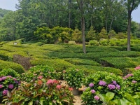 율봄 식물원 - ♣ 일반사진방 - 7남매 가족 율봄 식물원