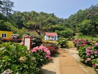 율봄 식물원 - ♣ 일반사진방 - 7남매 가족 율봄 식물원