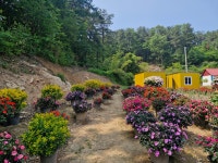 율봄 식물원 - ♣ 일반사진방 - 7남매 가족 율봄 식물원