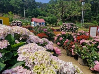 율봄 식물원 - ♣ 일반사진방 - 7남매 가족 율봄 식물원