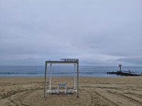 강문 346카페스토리 - ♣ 일반사진방 - 7남매 가족 강문 346카페스토리