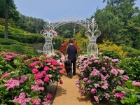 율봄 식물원 - ♣ 일반사진방 - 7남매 가족 율봄 식물원