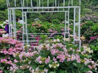 율봄 식물원 - ♣ 일반사진방 - 7남매 가족 율봄 식물원